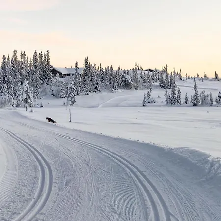 Lovely In With Kitchen *