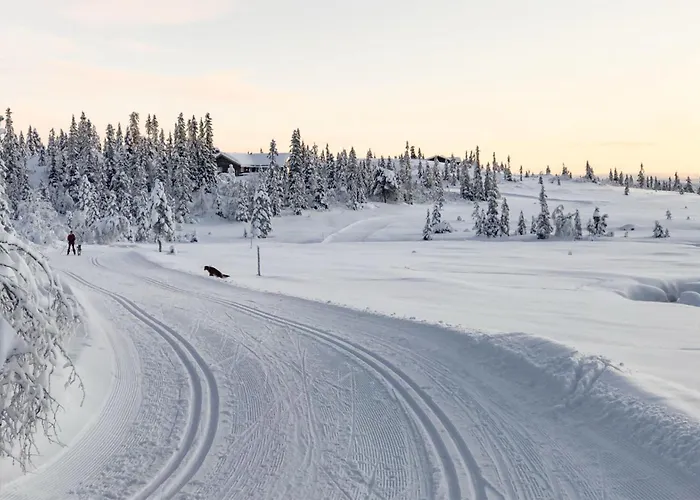 Lovely In With Kitchen *