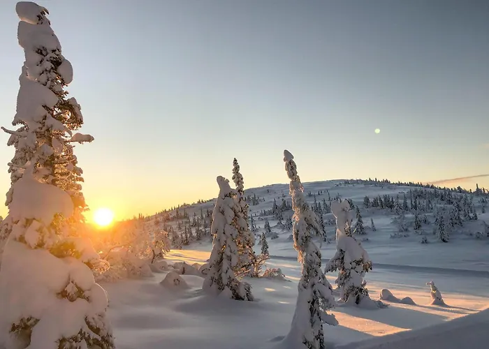 Lovely In With Kitchen 度假居 Veggli