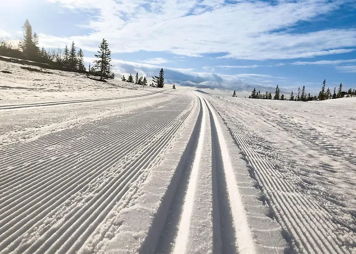Casa de Férias Lovely In With Kitchen