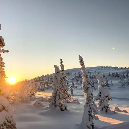 Lovely In With Kitchen 펜션 Veggli